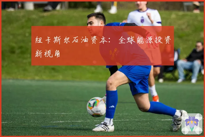 纽卡斯尔石油资本：全球能源投资新视角