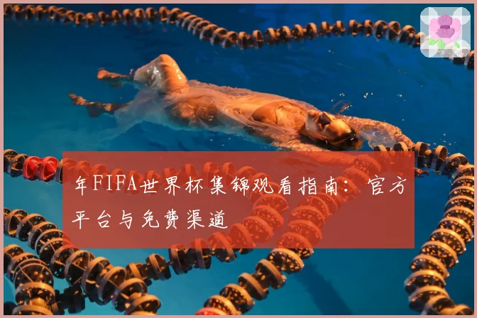 年FIFA世界杯集锦观看指南：官方平台与免费渠道