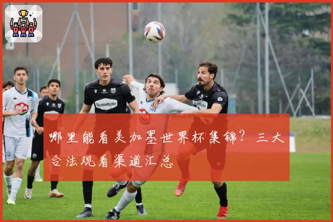 哪里能看美加墨世界杯集锦？三大合法观看渠道汇总
