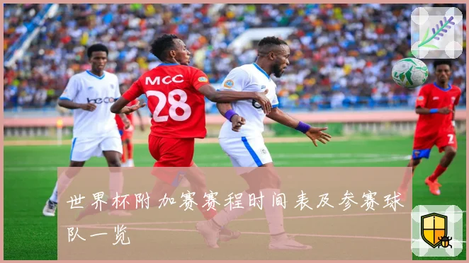 世界杯附加赛赛程时间表及参赛球队一览