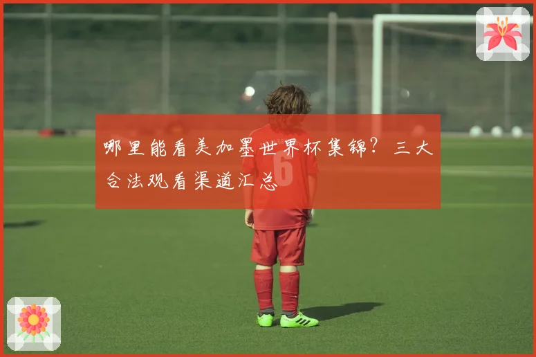 哪里能看美加墨世界杯集锦？三大合法观看渠道汇总