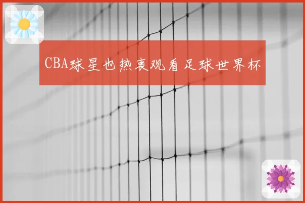 CBA球星也热衷观看足球世界杯