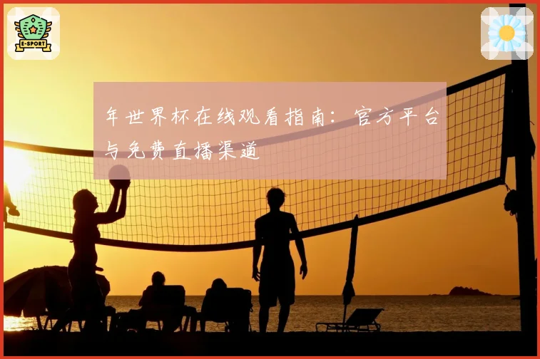 年世界杯在线观看指南：官方平台与免费直播渠道
