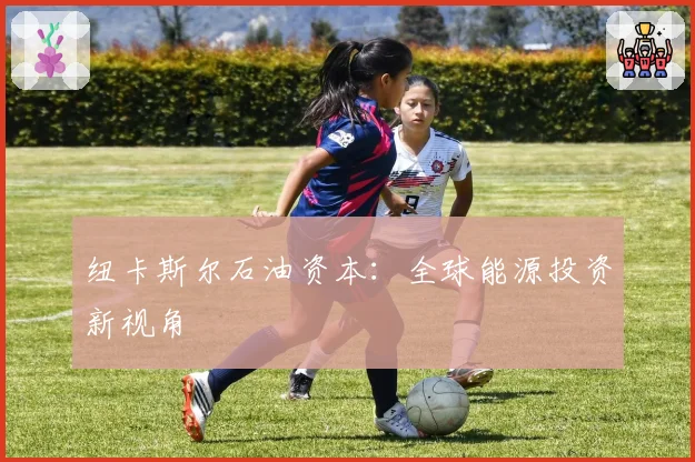 纽卡斯尔石油资本：全球能源投资新视角