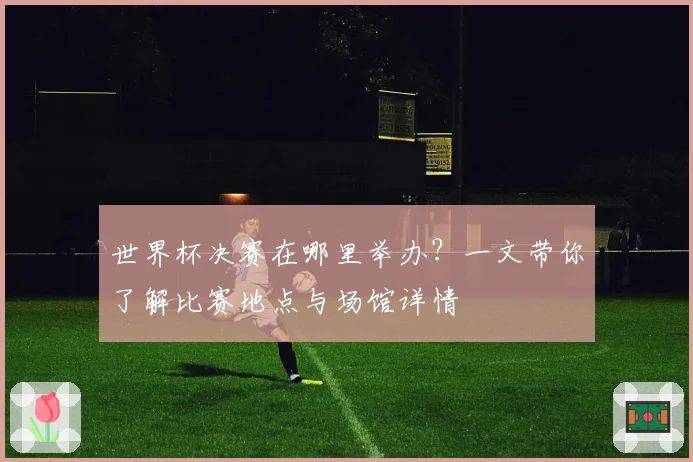 世界杯决赛在哪里举办？一文带你了解比赛地点与场馆详情